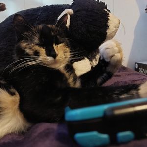 🩷Basic info and background🩷